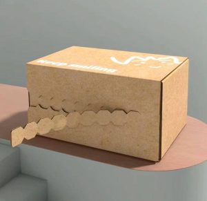 Quels sont les meilleurs matériaux pour les boîtes postales écologiques ?